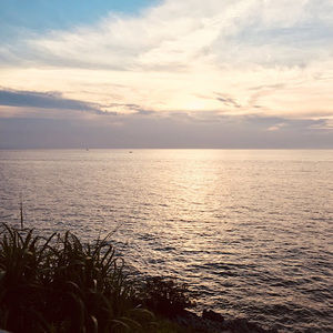 Meet your Posher, Camryn